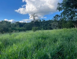 CHÁCARA À VENDA - 11000 M²  EM PARAÍSO - PARÁ DE MINAS - MG - PRÓXIMO AOS PENHAS