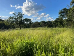 CHÁCARA À VENDA - 11000 M²  EM PARAÍSO - PARÁ DE MINAS - MG - PRÓXIMO AOS PENHAS