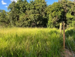 CHÁCARA À VENDA - 11000 M²  EM PARAÍSO - PARÁ DE MINAS - MG - PRÓXIMO AOS PENHAS