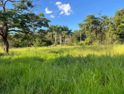 CHÁCARA À VENDA - 11000 M²  EM PARAÍSO - PARÁ DE MINAS - MG - PRÓXIMO AOS PENHAS