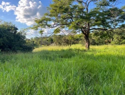 CHÁCARA À VENDA - 11000 M²  EM PARAÍSO - PARÁ DE MINAS - MG - PRÓXIMO AOS PENHAS