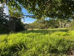 CHÁCARA À VENDA - 11000 M²  EM PARAÍSO - PARÁ DE MINAS - MG - PRÓXIMO AOS PENHAS