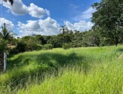 CHÁCARA À VENDA - 11000 M²  EM PARAÍSO - PARÁ DE MINAS - MG - PRÓXIMO AOS PENHAS