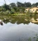 SÍTIO A VENDA - CAPOEIRA GRANDE - ONÇA DO PITANGUI - MG