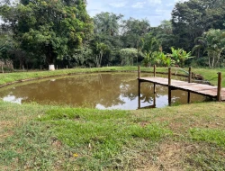 SÍTIO A VENDA - CAPOEIRA GRANDE - ONÇA DO PITANGUI - MG