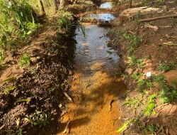 CHÁCARA DE 2.000 M² À VENDA  - PARÁ DE MINAS - MG