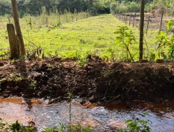 CHÁCARA DE 2.000 M² À VENDA  - PARÁ DE MINAS - MG