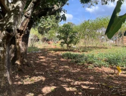 CHÁCARA DE 2.000 M² À VENDA  - PARÁ DE MINAS - MG