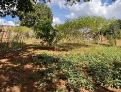 CHÁCARA DE 2.000 M² À VENDA  - PARÁ DE MINAS - MG