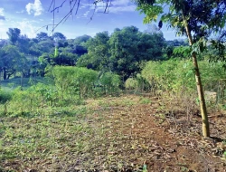 CHÁCARA DE 2.000 M² À VENDA  - PARÁ DE MINAS - MG