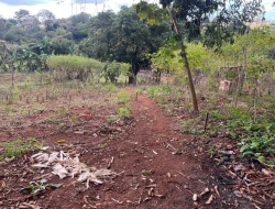 CHÁCARA DE 2.000 M² À VENDA  - PARÁ DE MINAS - MG