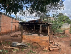 CHÁCARA DE 2.000 M² À VENDA  - PARÁ DE MINAS - MG