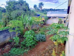 CHÁCARA DE 2.000 M² À VENDA  - PARÁ DE MINAS - MG