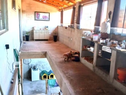 CASA COM 2 LOJAS COMERICIAIS À VENDA - BAIRRO RECANTO DA LAGOA - PARÁ DE MINAS-MG