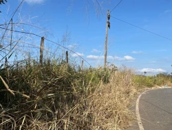 SÍTIO À VENDA - GORDURAS - PARÁ DE MINAS - MG