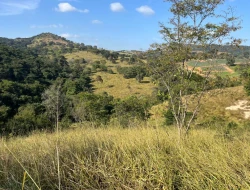 SÍTIO À VENDA - GORDURAS - PARÁ DE MINAS - MG