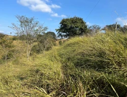 SÍTIO À VENDA - GORDURAS - PARÁ DE MINAS - MG