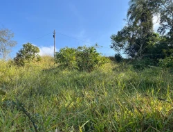 SÍTIO À VENDA - GORDURAS - PARÁ DE MINAS - MG