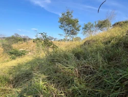 SÍTIO À VENDA - GORDURAS - PARÁ DE MINAS - MG