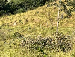 SÍTIO À VENDA - GORDURAS - PARÁ DE MINAS - MG