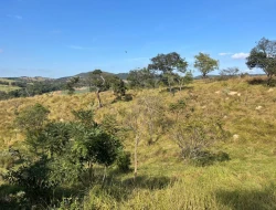 SÍTIO À VENDA - GORDURAS - PARÁ DE MINAS - MG