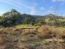 SÍTIO À VENDA - GORDURAS - PARÁ DE MINAS - MG