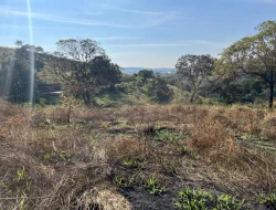SÍTIO À VENDA - GORDURAS - PARÁ DE MINAS - MG