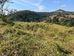 SÍTIO À VENDA - GORDURAS - PARÁ DE MINAS - MG