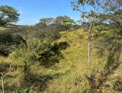 SÍTIO À VENDA - GORDURAS - PARÁ DE MINAS - MG
