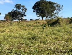 SÍTIO À VENDA - GORDURAS - PARÁ DE MINAS - MG