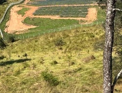 SÍTIO À VENDA - GORDURAS - PARÁ DE MINAS - MG