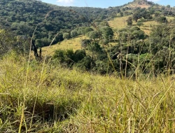 SÍTIO À VENDA - GORDURAS - PARÁ DE MINAS - MG