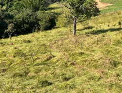 SÍTIO À VENDA - GORDURAS - PARÁ DE MINAS - MG
