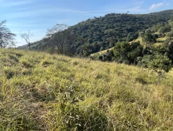 SÍTIO À VENDA - GORDURAS - PARÁ DE MINAS - MG
