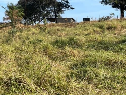 SÍTIO À VENDA - GORDURAS - PARÁ DE MINAS - MG