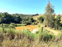 FAZENDA À VENDA - CAPOEIRA GRANDE - ONÇA DO PITANGUI - MG