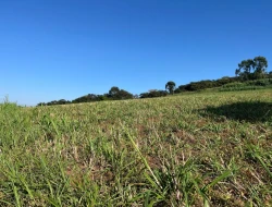 FAZENDA À VENDA - CAPOEIRA GRANDE - ONÇA DO PITANGUI - MG