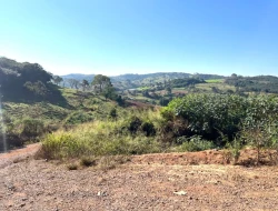 FAZENDA À VENDA - CAPOEIRA GRANDE - ONÇA DO PITANGUI - MG