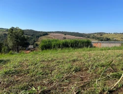 FAZENDA À VENDA - CAPOEIRA GRANDE - ONÇA DO PITANGUI - MG