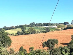 FAZENDA À VENDA - CAPOEIRA GRANDE - ONÇA DO PITANGUI - MG