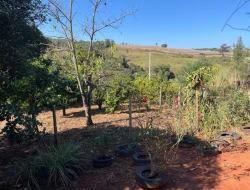 FAZENDA À VENDA - CAPOEIRA GRANDE - ONÇA DO PITANGUI - MG