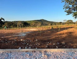 CHÁCARA  NO CONDOMÍNIO VALE VERDE / ASCENSÃO - PARÁ DE MINAS