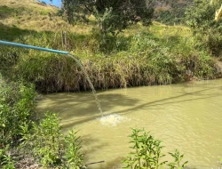 SÍTIO À VENDA - MATA DOS PIMENTA - PARÁ DE MINAS - MG