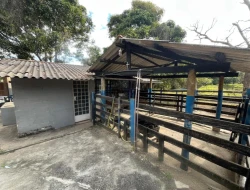 SÍTIO À VENDA - MATA DOS PIMENTA - PARÁ DE MINAS - MG