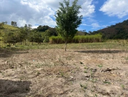 SÍTIO À VENDA - MATA DOS PIMENTA - PARÁ DE MINAS - MG