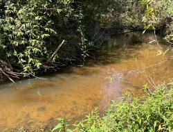 VENDO SÍTIO EM TRINDADE - PARÁ DE MINAS - MG