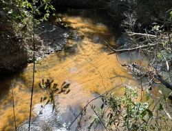 VENDO SÍTIO EM TRINDADE - PARÁ DE MINAS - MG