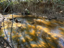 VENDO SÍTIO EM TRINDADE - PARÁ DE MINAS - MG