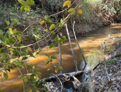 VENDO SÍTIO EM TRINDADE - PARÁ DE MINAS - MG