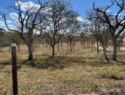 VENDO SÍTIO EM TRINDADE - PARÁ DE MINAS - MG